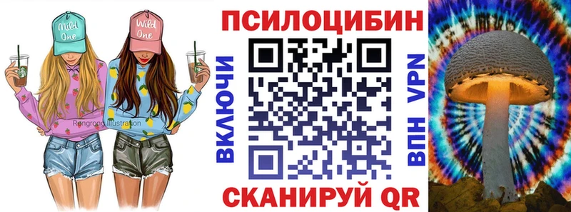 цены наркотик  Чудово  Псилоцибиновые грибы прущие грибы 