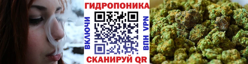 дарнет шоп  Чудово  Каннабис AK-47 